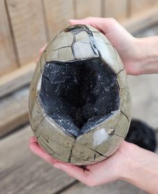 Septarian (Draksten) Ägg, XXL polerad 5,5 kg