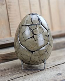 Septarian (Draksten) Ägg, XXL polerad 5,5 kg