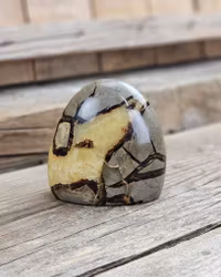 Septarian (Draksten), polerad kristall stående friform #3