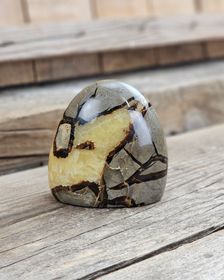 Septarian (Draksten), polerad kristall stående friform #3