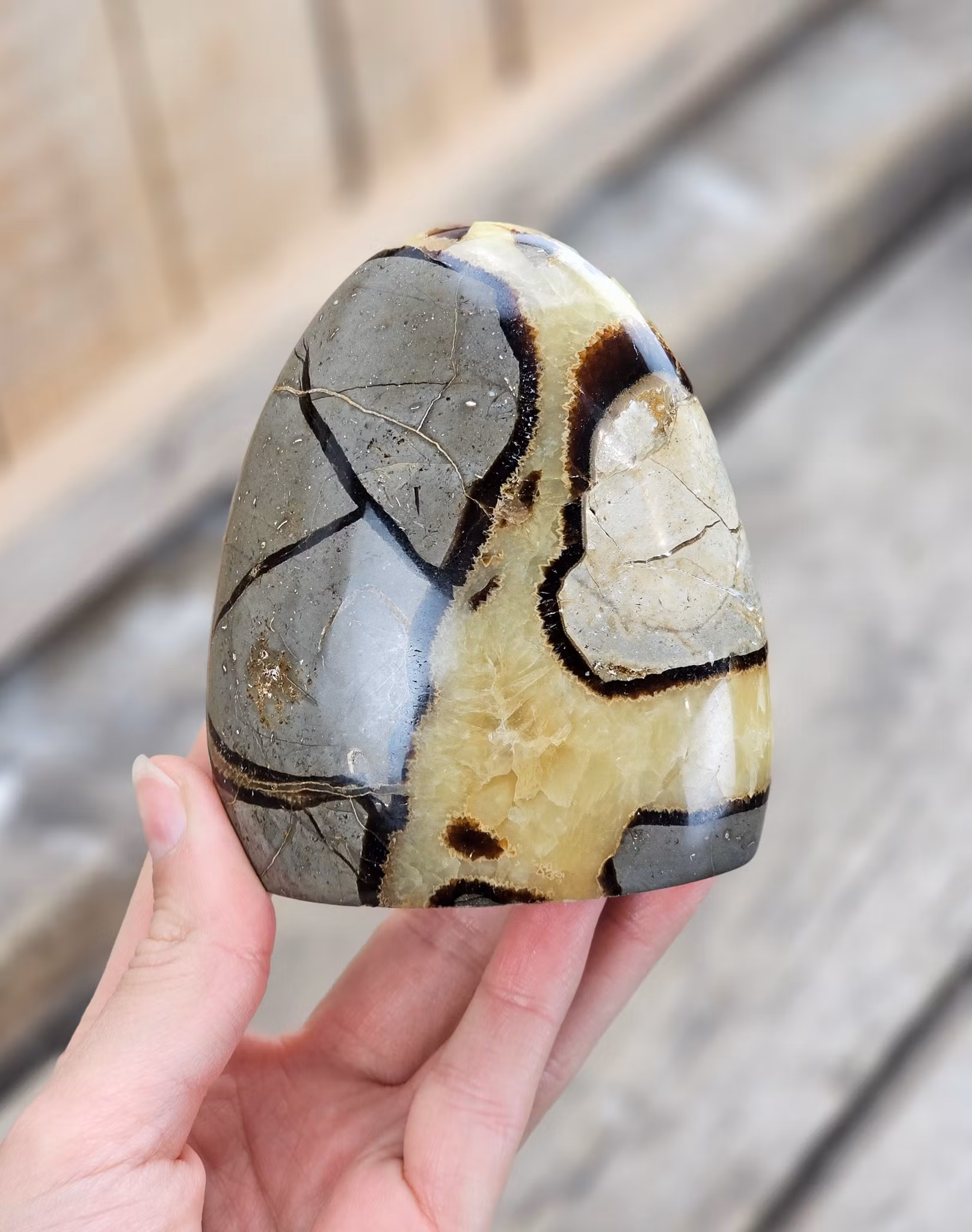 Septarian (Draksten), polerad kristall stående friform