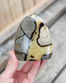 Septarian (Draksten), polerad kristall stående friform #4