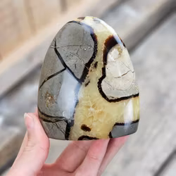 Septarian (Draksten), polerad kristall stående friform #4