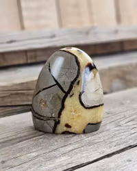 Septarian (Draksten), polerad kristall stående friform #4