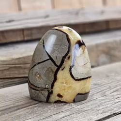 Septarian (Draksten), polerad kristall stående friform #4
