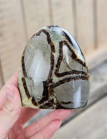 Septarian (Draksten), polerad kristall stående friform #11