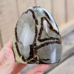 Septarian (Draksten), polerad kristall stående friform #11