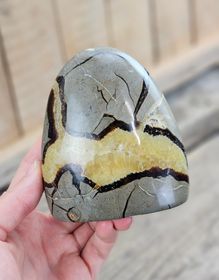 Septarian (Draksten), polerad kristall stående friform #13