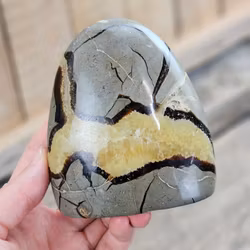Septarian (Draksten), polerad kristall stående friform #13