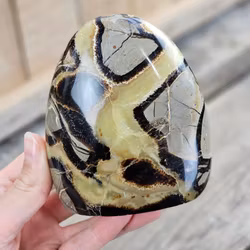 Septarian (Draksten), polerad kristall stående friform #14