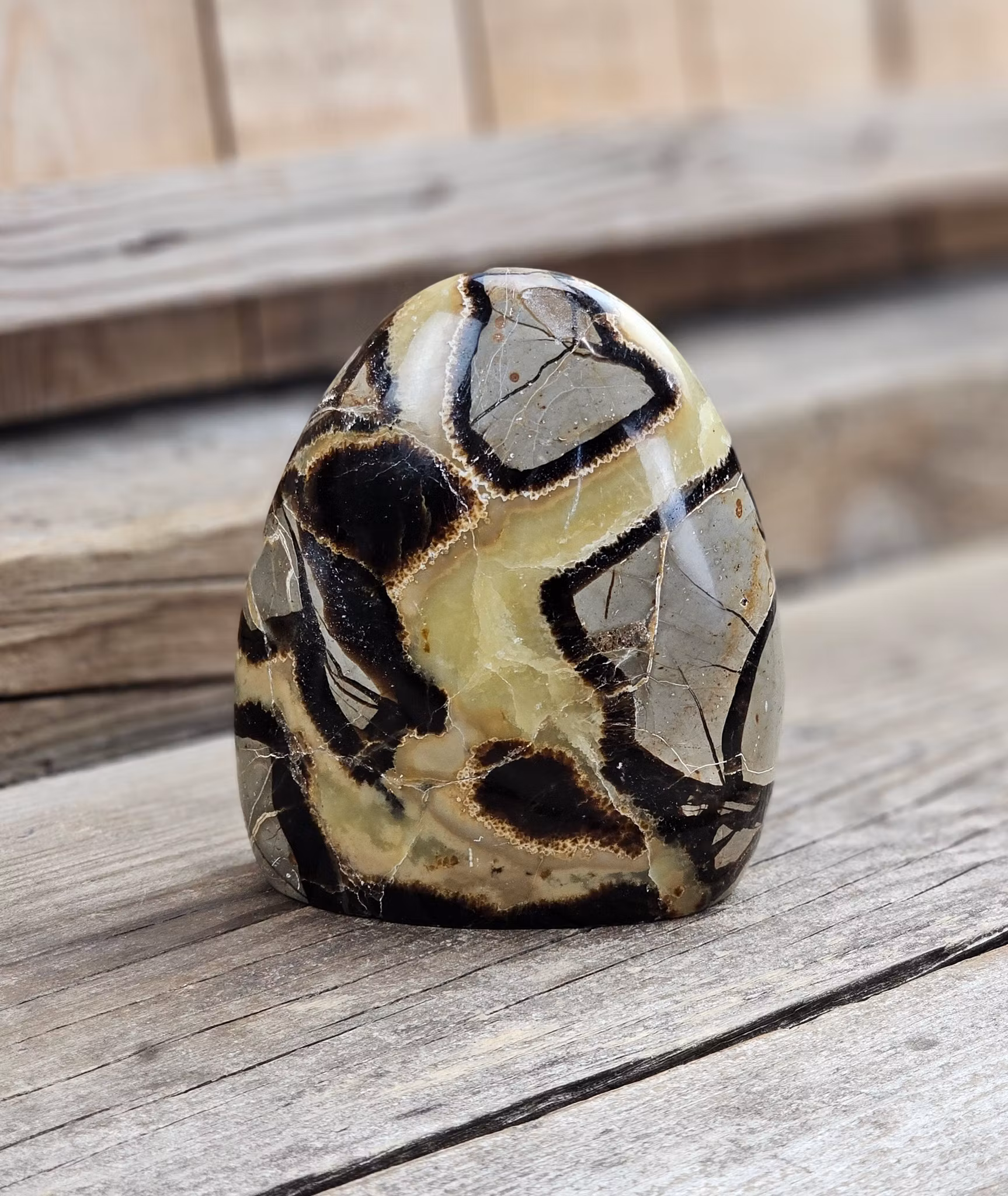 Septarian (Draksten), polerad kristall stående friform