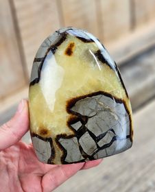 Septarian (Draksten), polerad kristall stående friform #15