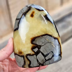 Septarian (Draksten), polerad kristall stående friform #15