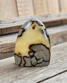 Septarian (Draksten), polerad kristall stående friform #15