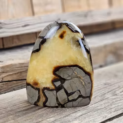 Septarian (Draksten), polerad kristall stående friform #15