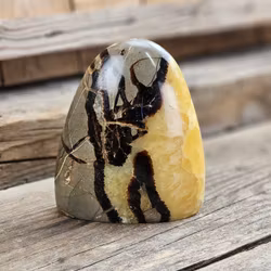 Septarian (Draksten), polerad kristall stående friform #16