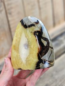 Septarian (Draksten), polerad kristall stående friform #16