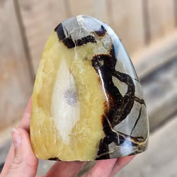 Septarian (Draksten), polerad kristall stående friform #16