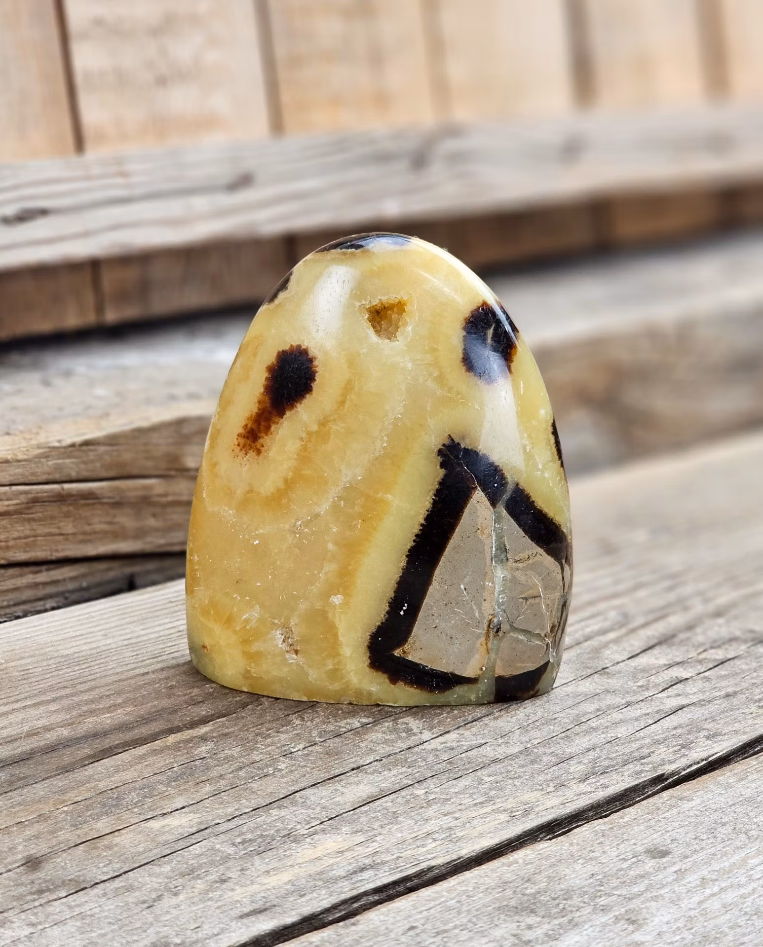 Septarian (Draksten), polerad kristall stående friform