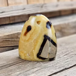 Septarian (Draksten), polerad kristall stående friform #17