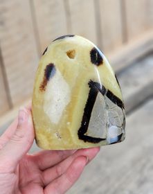 Septarian (Draksten), polerad kristall stående friform #17