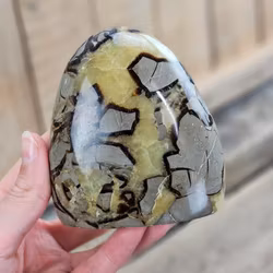 Septarian (Draksten), polerad kristall stående friform #18