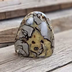 Septarian (Draksten), polerad kristall stående friform #18