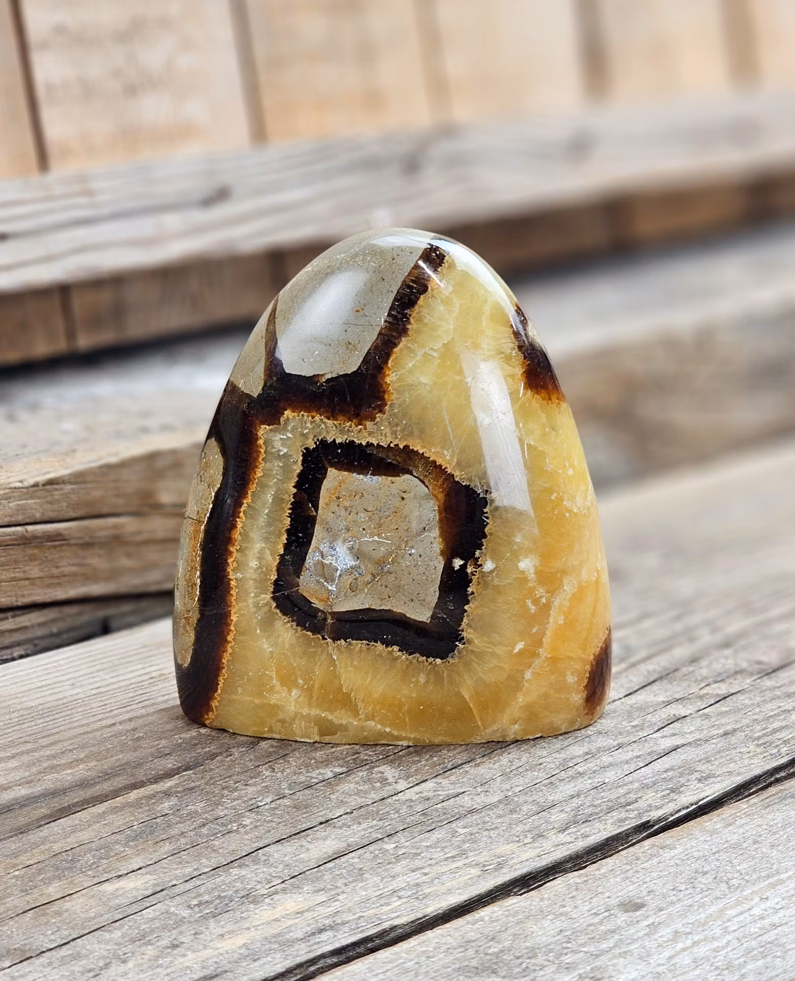 Septarian (Draksten), polerad kristall stående friform