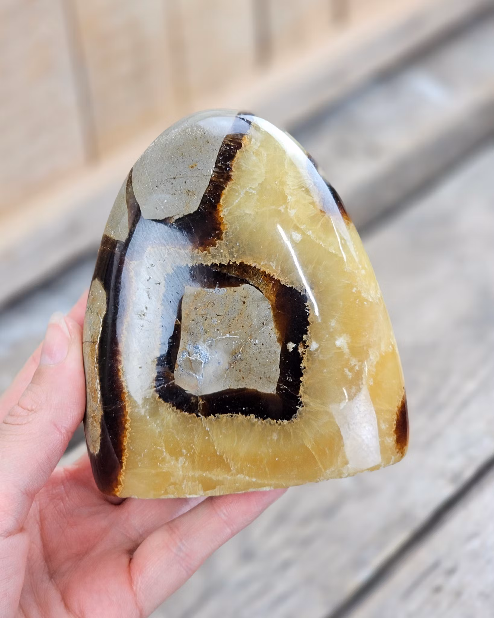 Septarian (Draksten), polerad kristall stående friform