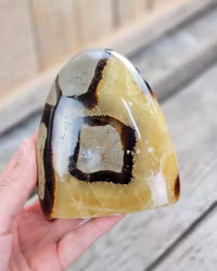 Septarian (Draksten), polerad kristall stående friform #19