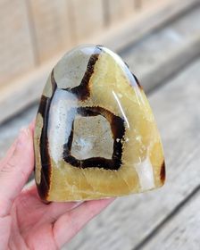 Septarian (Draksten), polerad kristall stående friform #19