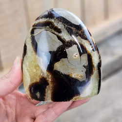 Septarian (Draksten), polerad kristall stående friform #20