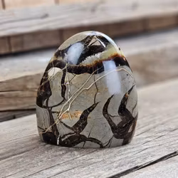 Septarian (Draksten), polerad kristall stående friform #20