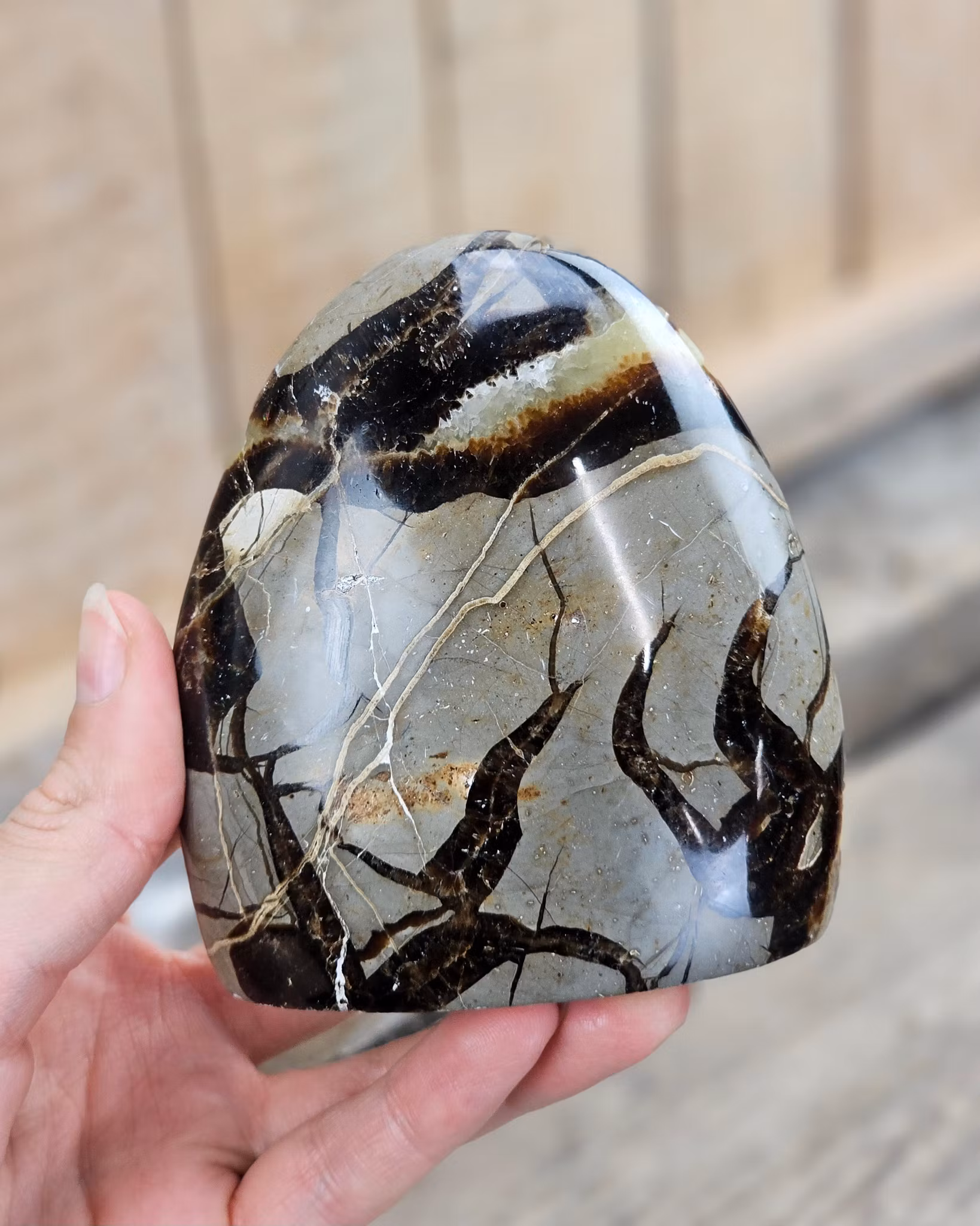Septarian (Draksten), polerad kristall stående friform