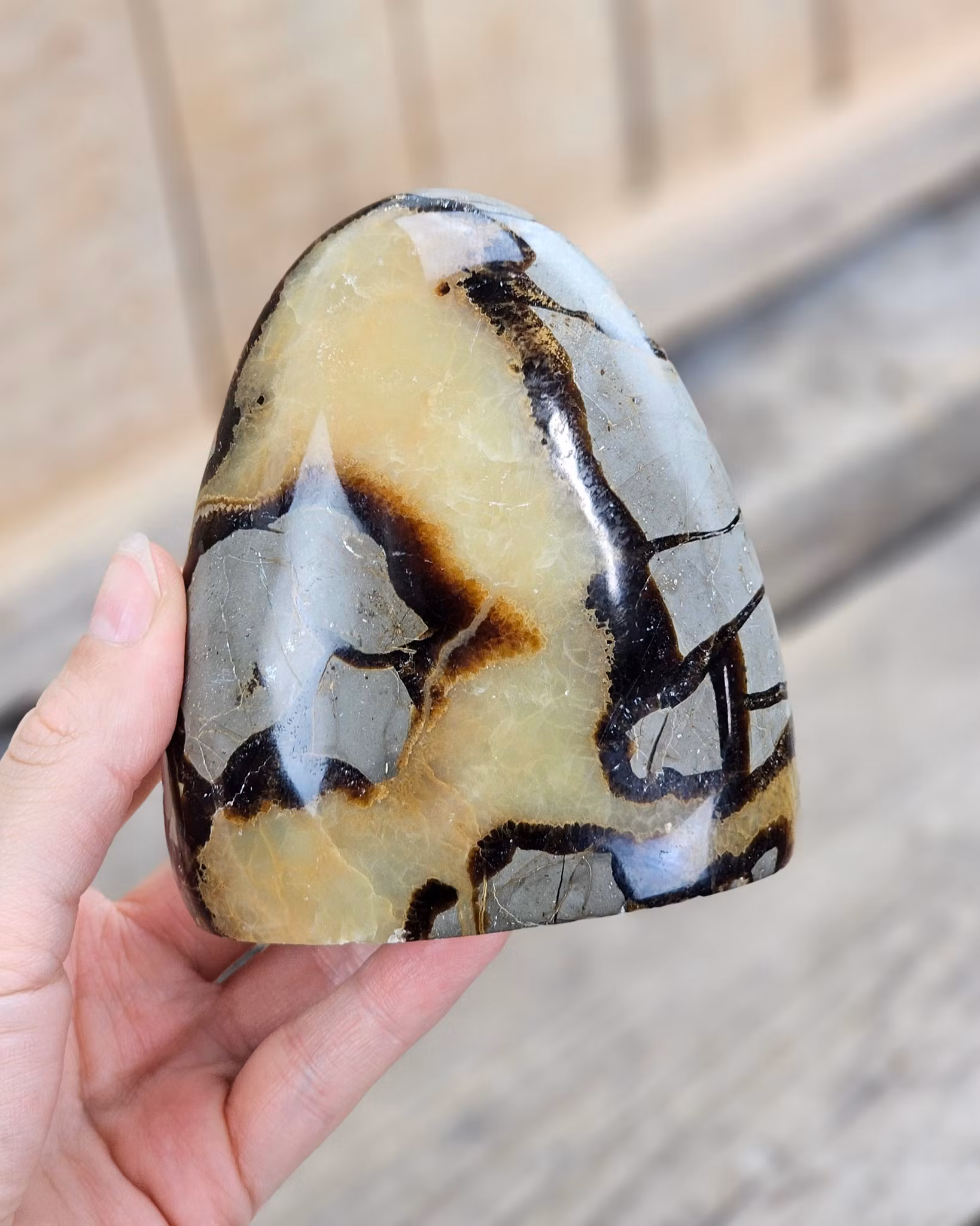 Septarian (Draksten), polerad kristall stående friform