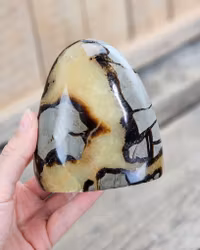 Septarian (Draksten), polerad kristall stående friform #21