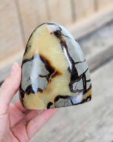 Septarian (Draksten), polerad kristall stående friform #21