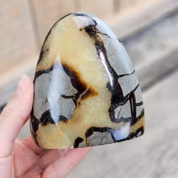 Septarian (Draksten), polerad kristall stående friform #21