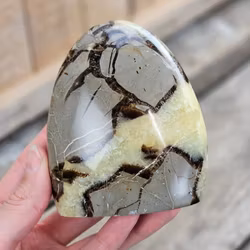 Septarian (Draksten), polerad kristall stående friform #22