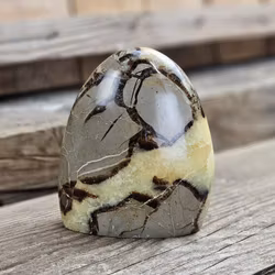 Septarian (Draksten), polerad kristall stående friform #22