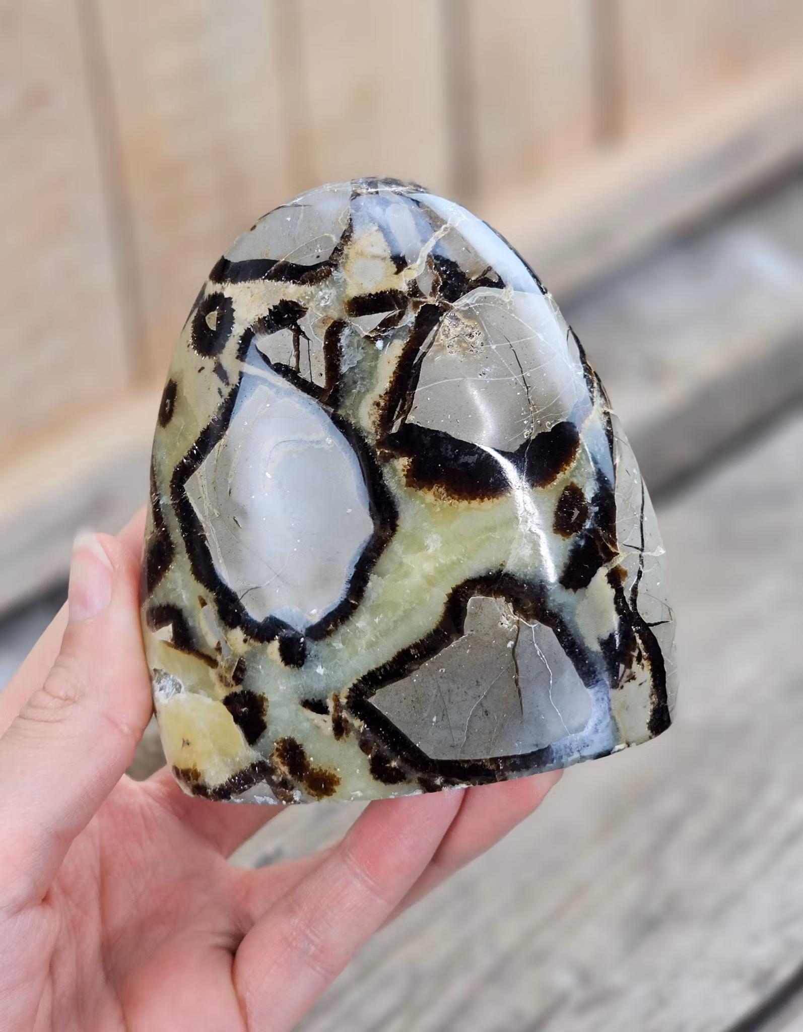 Septarian (Draksten), polerad kristall stående friform