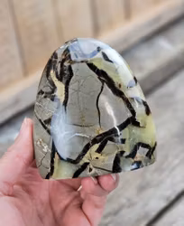 Septarian (Draksten), polerad kristall stående friform #23