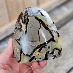 Septarian (Draksten), polerad kristall stående friform #23