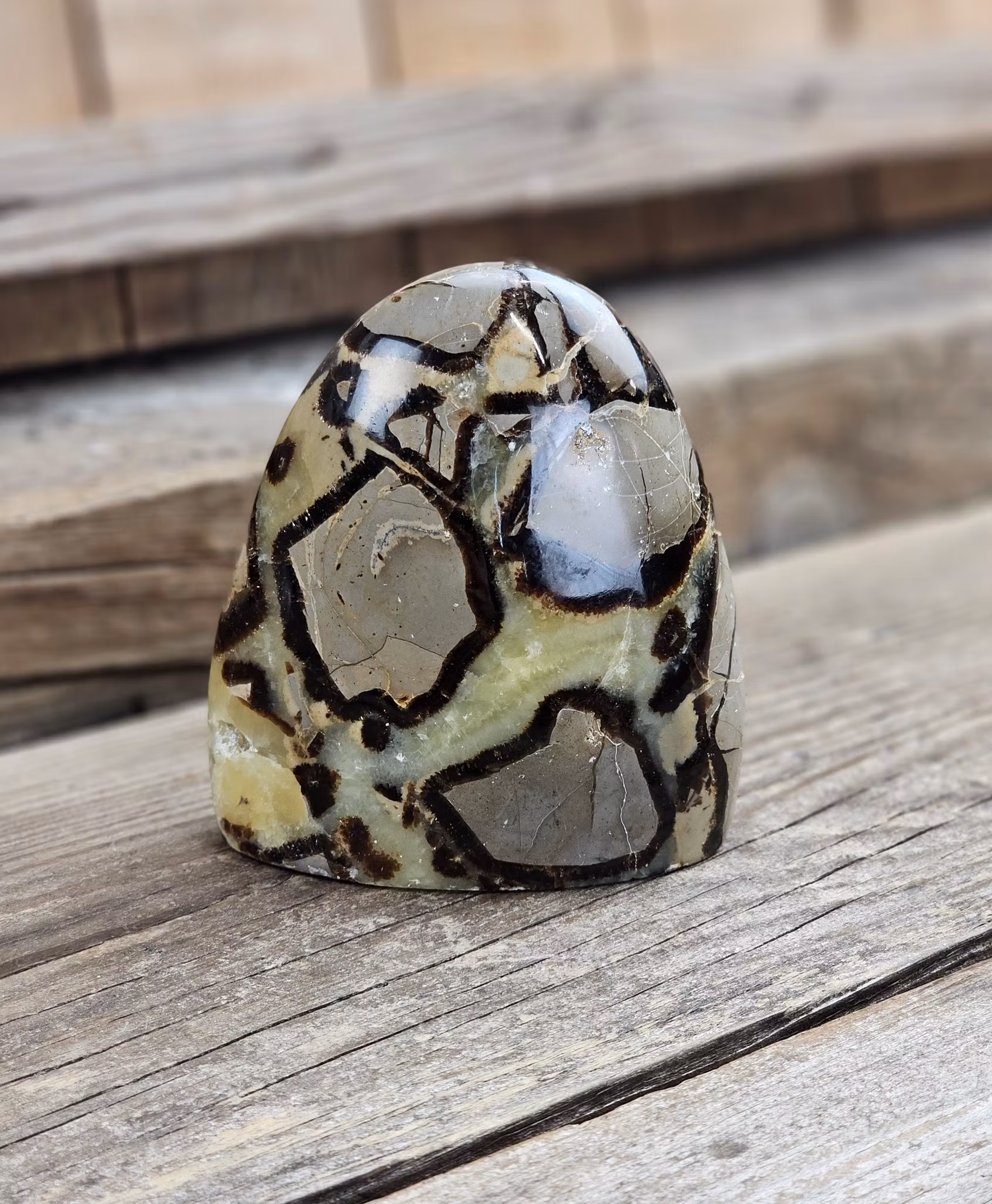 Septarian (Draksten), polerad kristall stående friform