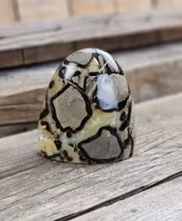 Septarian (Draksten), polerad kristall stående friform #23