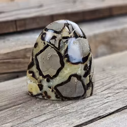 Septarian (Draksten), polerad kristall stående friform #23