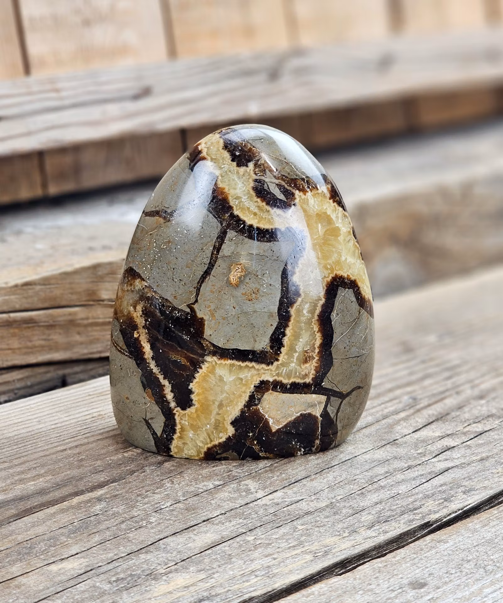 Septarian (Draksten), polerad kristall stående friform