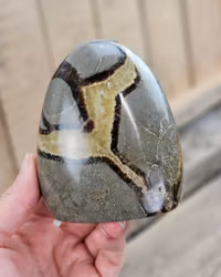 Septarian (Draksten), polerad kristall stående friform #24