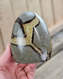 Septarian (Draksten), polerad kristall stående friform #24