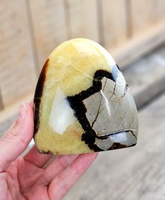 Septarian (Draksten), polerad kristall stående friform #25